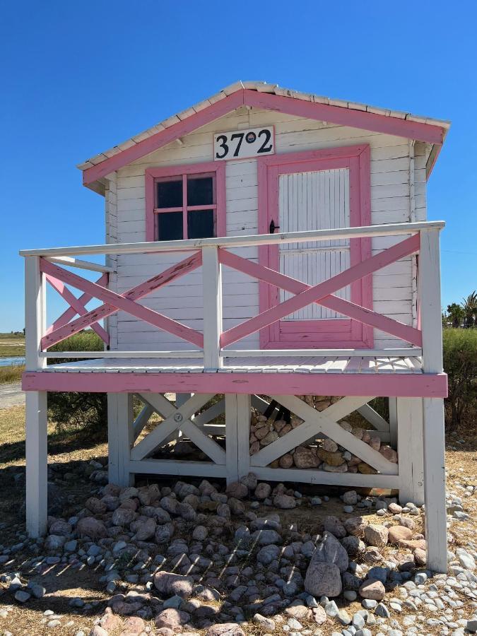 Charmant Studio Port De Gruissan Dış mekan fotoğraf