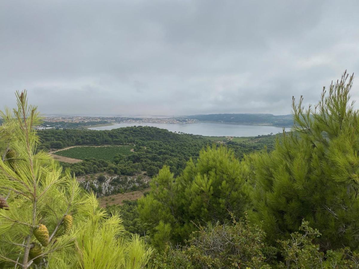 Charmant Studio Port De Gruissan Dış mekan fotoğraf